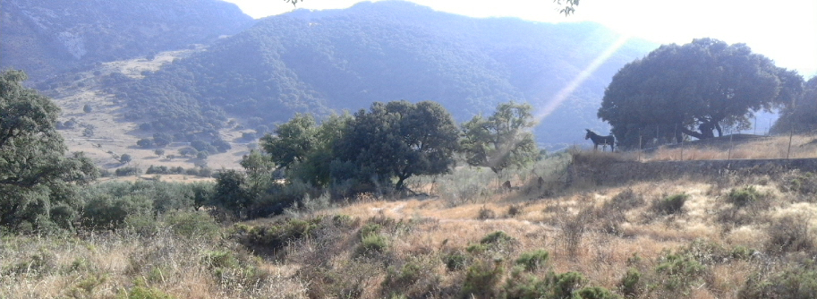Landschaft in Spanien